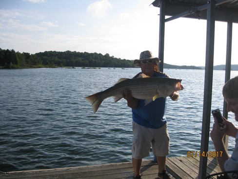 Nice Striped Bass